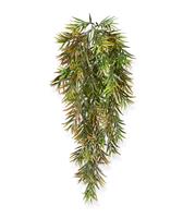 Asparagus Sprengeri kunst hangplant 60cm