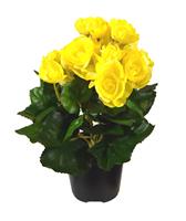 Begonia kunstplant in potje 20cm - geel