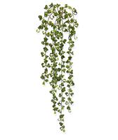 Peperomia Prostrata kunst hangplant 80cm