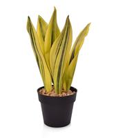 Sansevieria kunstplant 30cm geel-groen