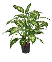 Dieffenbachia deluxe kunstplant 60 cm
