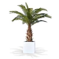 Phoenix Canarie kunstpalm XXL op voet 300cm