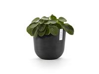 DCM Ecopots Bloempot Oslo Ø25cm - Donkergrijs