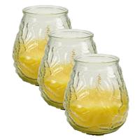 3x Stuks Windlichten Geurkaarsen Citronella Glas 10 Cm - Geurkaarsen