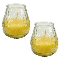 2x Stuks Windlichten Geurkaarsen Citronella Glas 10 Cm - Geurkaarsen