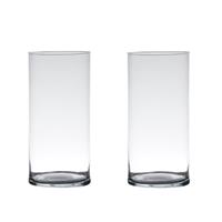 Bellatio Set Van 2x Stuks Transparante Home-basics Cylinder Vaas/vazen Van Glas 30 X 12 Cm - Vazen