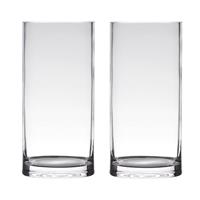 Bellatio Set Van 2x Stuks Transparante Home-basics Cylinder Vorm Vaas/vazen Van Glas 30 X 12 Cm - Vazen