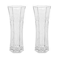 Set Van 2x Stuks Bloemenvazen Van Ornament Glas 29 X 11 Cm - Vazen