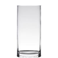 Bellatio Transparante Home-basics Cilinder Vorm Vaas/vazen Van Glas 35 X 15 Cm - Vazen