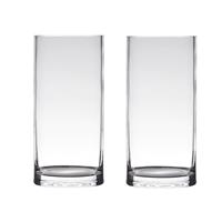 Bellatio Set Van 2x Stuks Transparante Home-basics Cylinder Vorm Vaas/vazen Van Glas 25 X 12 Cm - Vazen