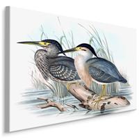 Karo-art Schilderij - 2 Vogels in het water, Print op Canvas, Premium Print
