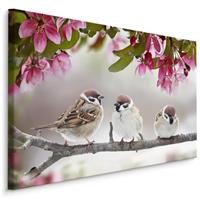 Karo-art Schilderij - Mussen in de Boom, Premium Print