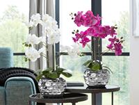 Creativ green Kunstplant Orchidee