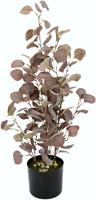 I.GE.A. Kunstplant Eucalyptusplant in een plastic pot