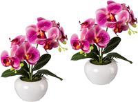 Creativ green Kunstplant set van 2