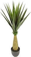 I.GE.A. Kunst-potplanten Yucca