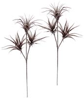 I.GE.A. Kunstplant Tillandsia set van 2