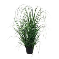 Creativ green Kunstgras Gras
