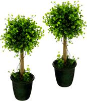 I.GE.A. Kunstboom Buxusbolboompje in een plastic pot, set van 2