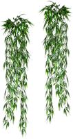 Creativ green Kunstplant Bamboehanger