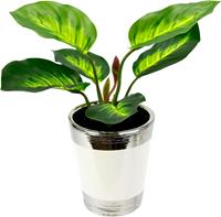 I.GE.A. Kunstplant Pothosplant in pot (set)