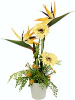 I.GE.A. Kunstbloem Arrangement strelitzia/gerbera Pot van keramiek