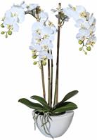 Creativ green Kunstplant Mini orchidee