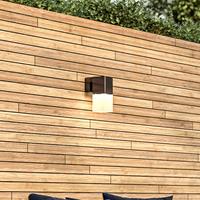 Smartwares LED buitenwandlamp OOL-50016, naar onder stralend