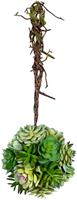 Creativ green Kunstplant Hangende bol van vetplanten