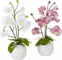 I.GE.A. Kunstplant Orchidee (set)