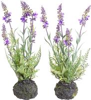 Botanic-Haus Kunst-potplanten Lavendel (set)