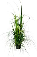 I.GE.A. Kunstplant Gras in pot