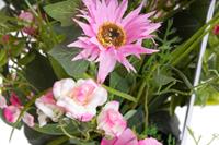 Botanic-Haus Kunstbloem Zomerbloemen