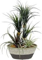 I.GE.A. Kunstplant Dracena/Tillandsia In sierpot van keramiek