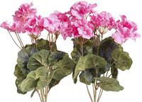 Botanic-Haus Kunstbloem Geraniums