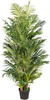 Creativ green Kunstpalm Arecapalm