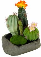 I.GE.A. Kunstplant Cactussen