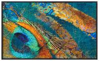 Wash+dry Fußmatte Exotic Pavo waschbar 50x75cm