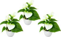I.GE.A. Kunstplant Mini Anthurie (set)