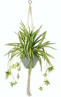 I.GE.A. Kunst-potplanten Waterlelie in een kunststof pot, met plantenhanger