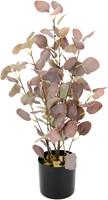 I.GE.A. Kunstplant Eucalyptus In een pot, met natuursteentjes