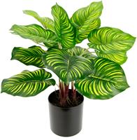 I.GE.A. Kunst-potplanten Maranthus