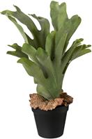 Creativ green Kunst-potplanten