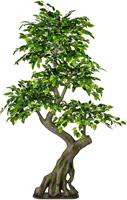 Creativ green Kunstboom Ficus Benjamini