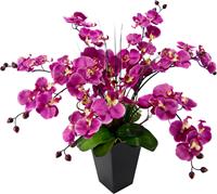 I.GE.A. Kunstplant Vlinderorchidee in pot