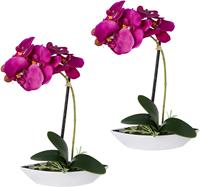 Creativ green Kunstorchidee Vlinderorchidee set van 2, in een plastic bakje
