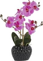 Leonique Kunstplant Orchidee Kunstorchidee, in een pot (1 stuk)
