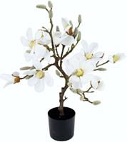 I.GE.A. Kunstboom Magnoliaboom in een plastic pot