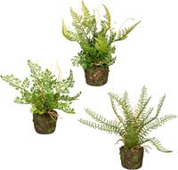 Creativ green Kunst-potplanten Set varenplanten op kluit set van 3