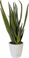 Creativ green Kunstplant Aloe